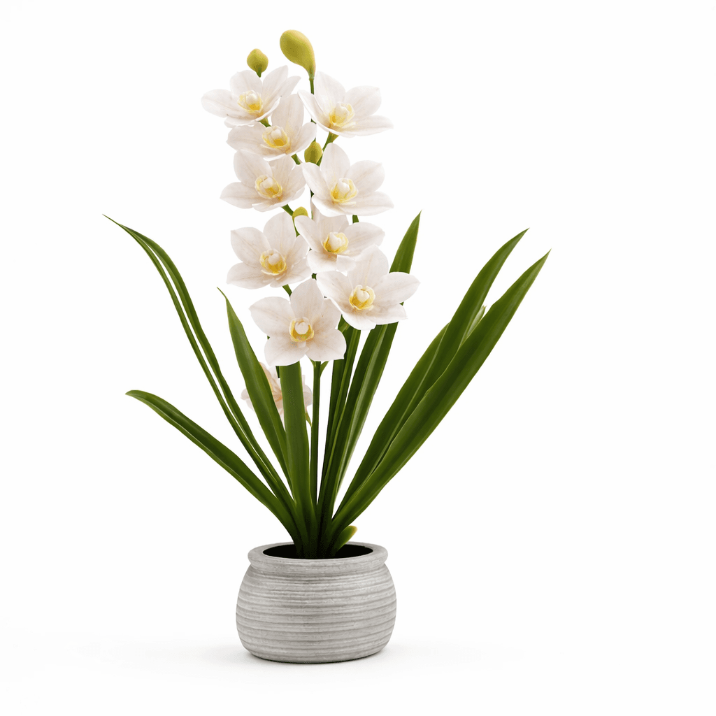 ChatGPT-Image-Feb-17-2026-11_46_07-AM.png
