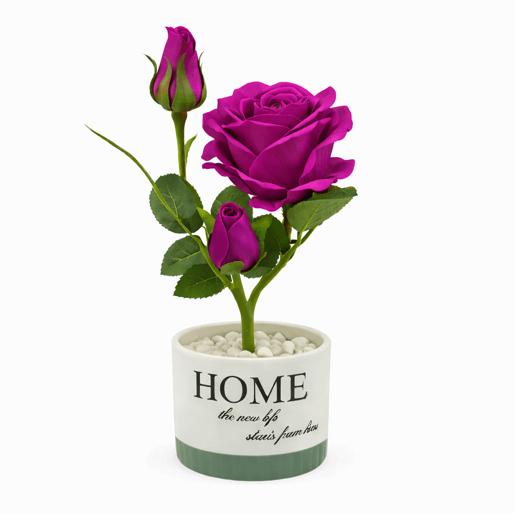 ChatGPT-Image-Feb-17-2026-12_46_41-PM.png