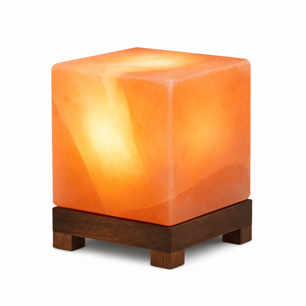 ChatGPT-Image-Feb-19-2026-11_05_10-AM.png