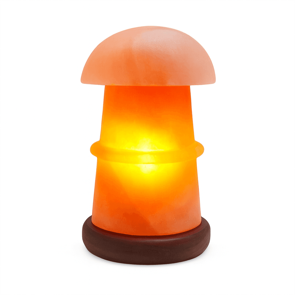 ChatGPT-Image-Nov-20-2025-12_58_37-PM.png