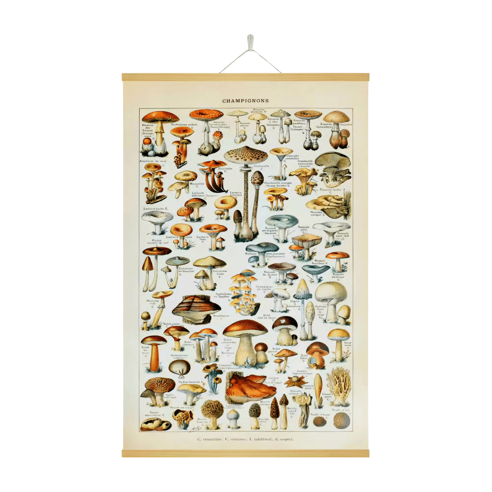 ei_1768656289118-removebg-scaled-1.png