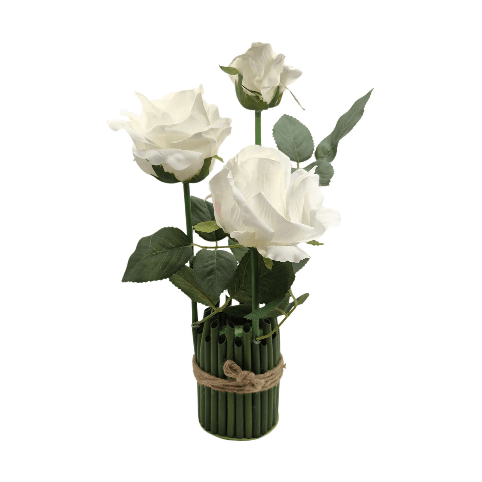 1371ba79-4ef1-4ab9-bbf0-7db11421cc4e_20251222_201908_0000-scaled-1.png