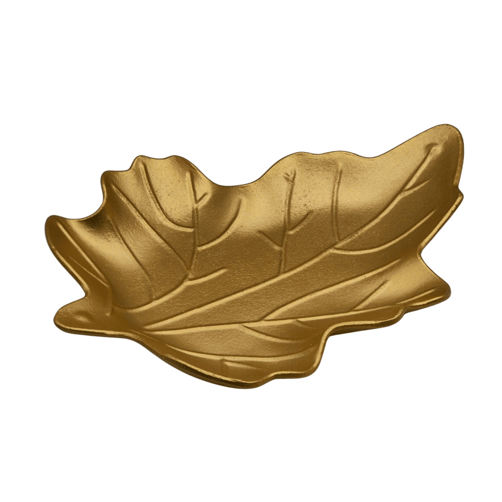 21e1099c-9d76-4661-aac9-ac8398e5aab9_20251008_203922_0000-scaled-1.png