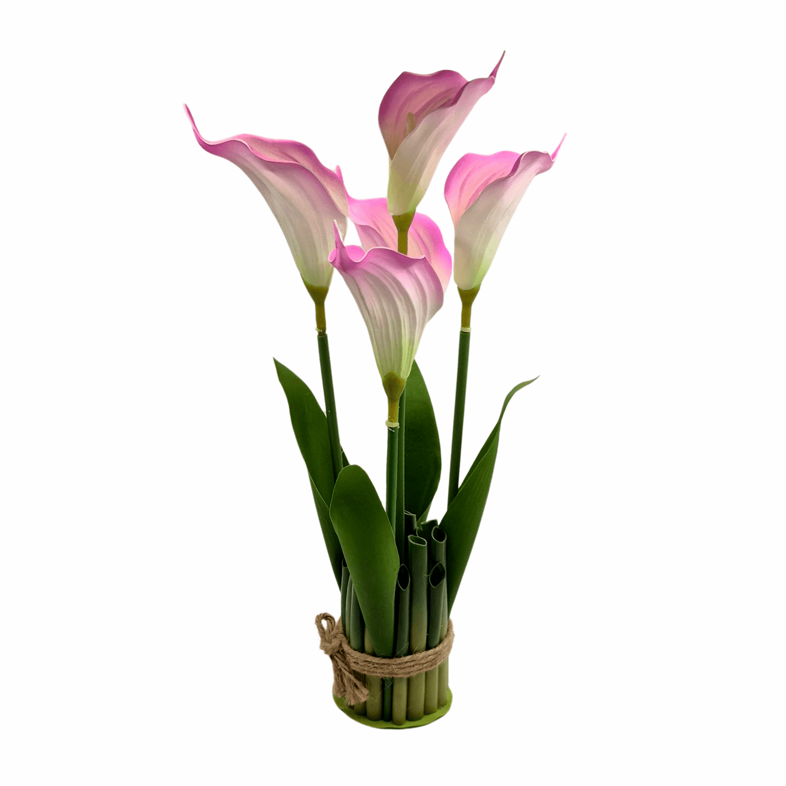 9c2bae2b-a2f7-4d55-8f3f-312669f65e0a_20251222_202109_0000.png