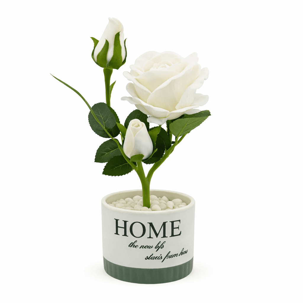 ChatGPT-Image-Feb-13-2026-11_59_24-AM-2.png