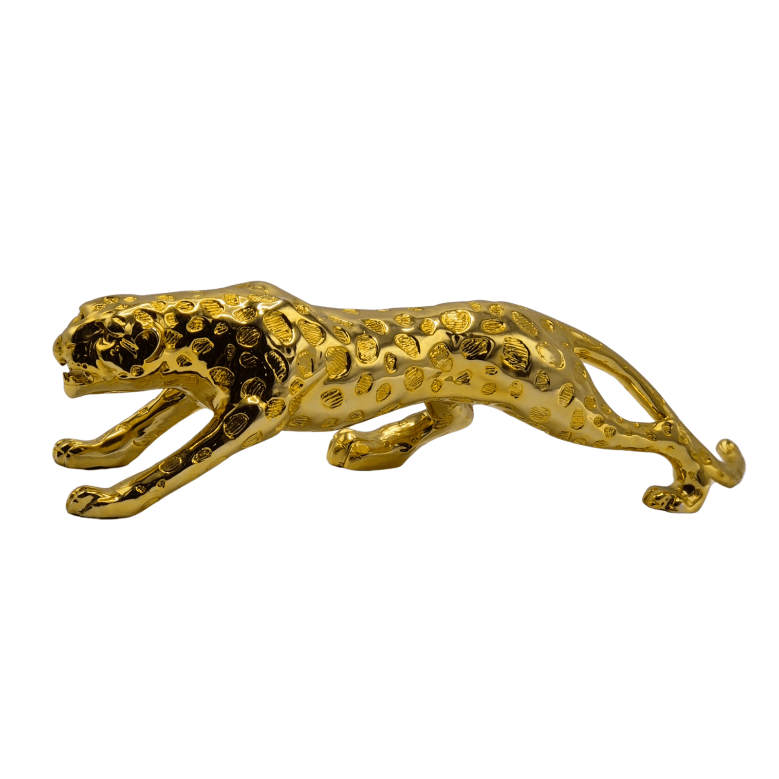 bc77d085-f338-4ec6-9d8b-47424c620e82_20250909_160704_0000-1-scaled-1.png